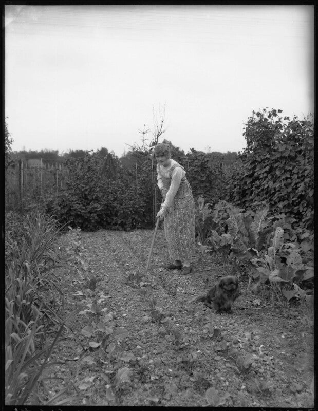 Mary merrall npg x33105