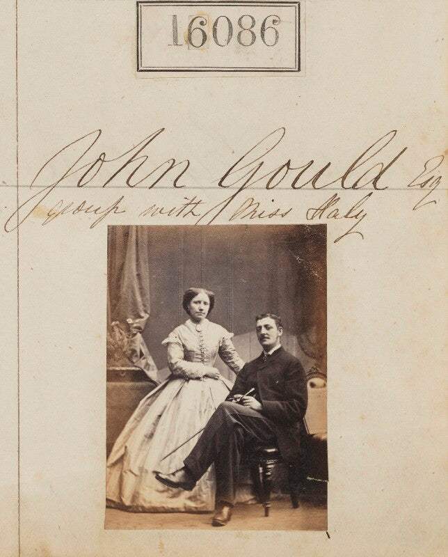 John gould; miss haly npg ax64012