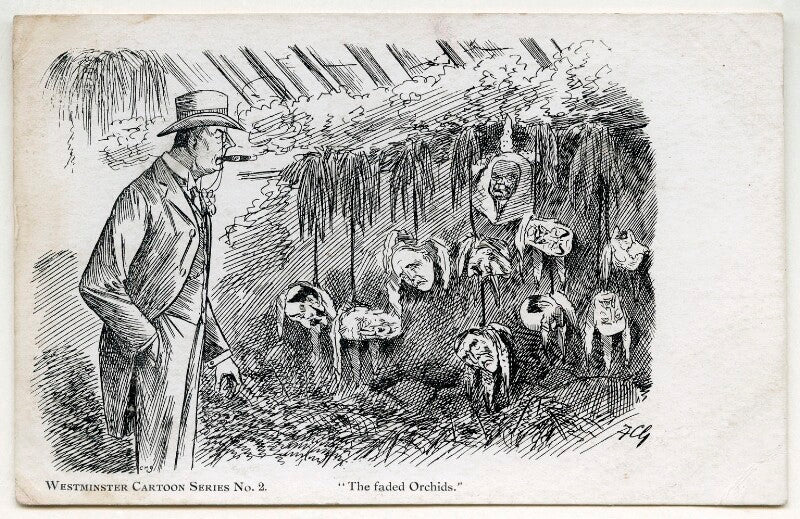 The faded orchids npg d42281