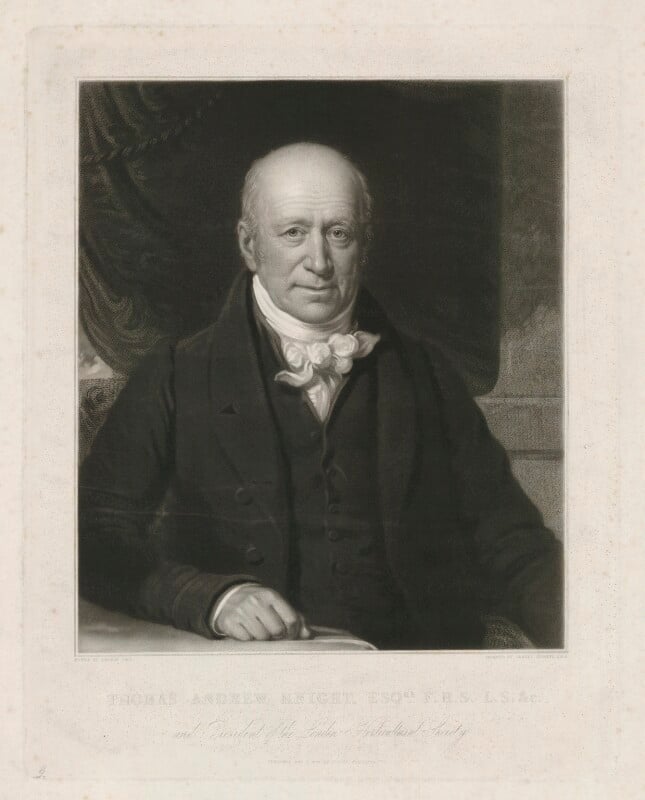Thomas andrew knight npg d37106