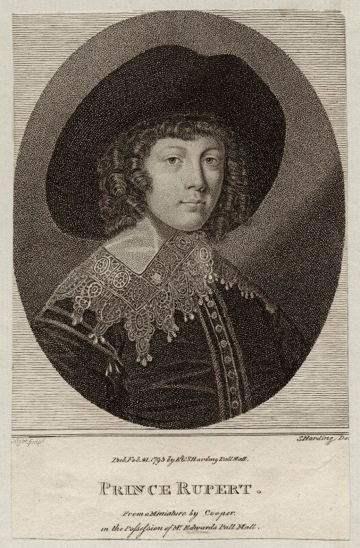 Prince rupert, count palatine npg d26463