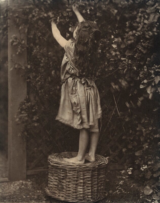 Silvia constance myers npg ax36335