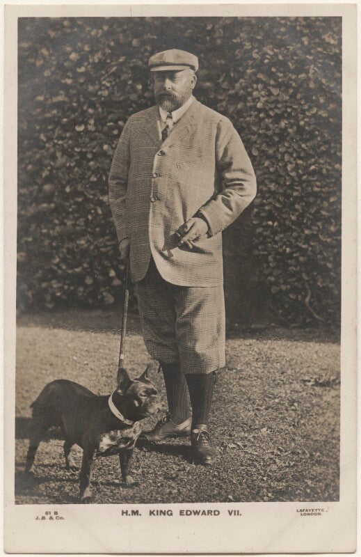 King edward vii npg x193253