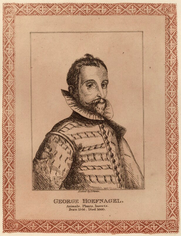 George hoefnagel npg d28071