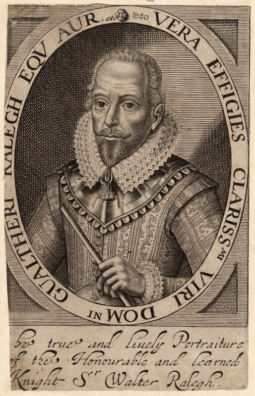 Sir walter ralegh (raleigh) npg d27998