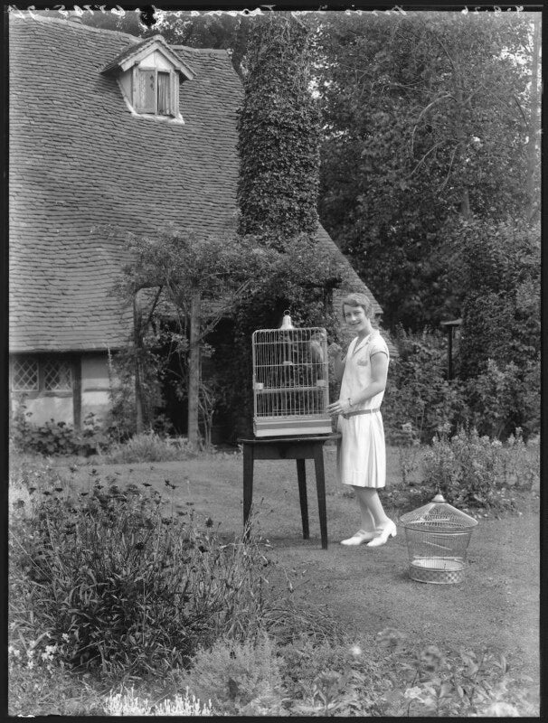 Ivy tresmand npg x36558