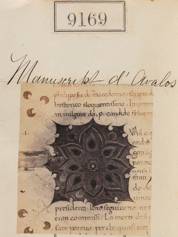 'detail from manuscript d'avalos' npg ax58991