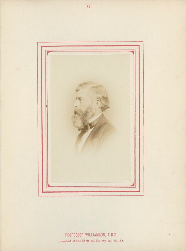 Alexander william williamson npg ax14794