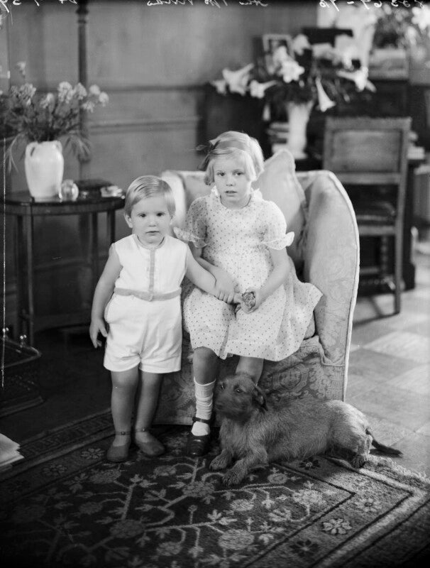 Nicholas crespigney laurance vivian, 6th baron vivian; hon. sally anne marie gabrielle wilson (née vivian) npg x153217