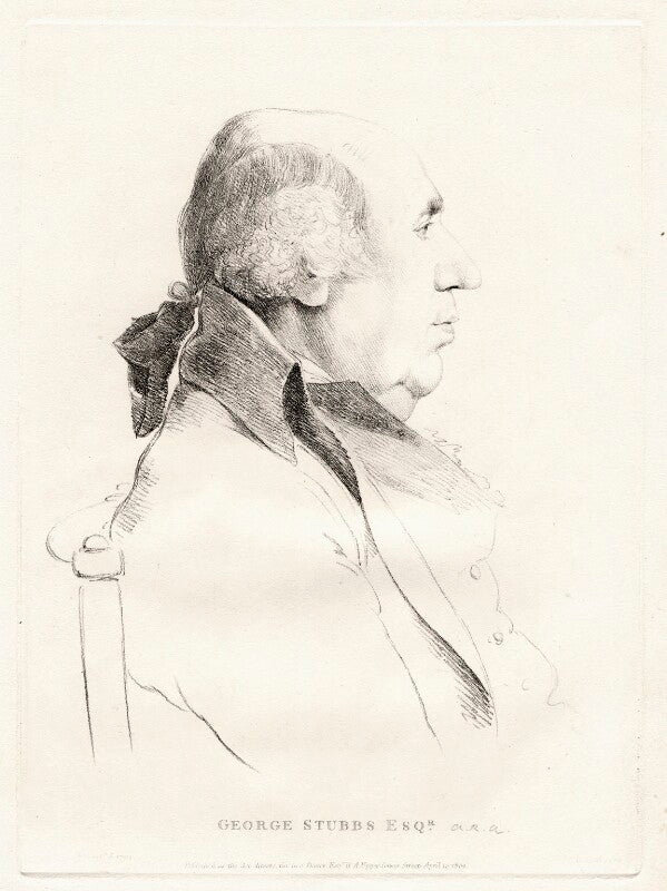 George stubbs npg d12105