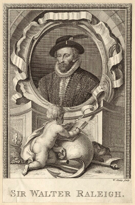 Sir walter ralegh (raleigh) npg d28002