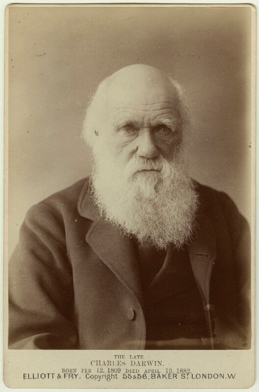 Charles darwin npg x5937