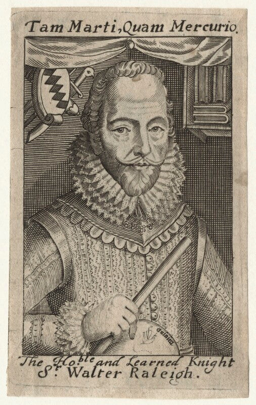 Sir walter ralegh (raleigh) npg d21173