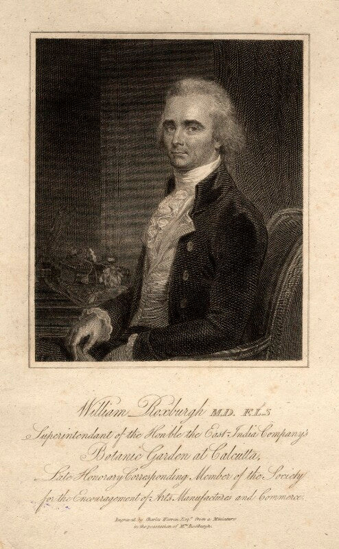 William roxburgh npg d5849