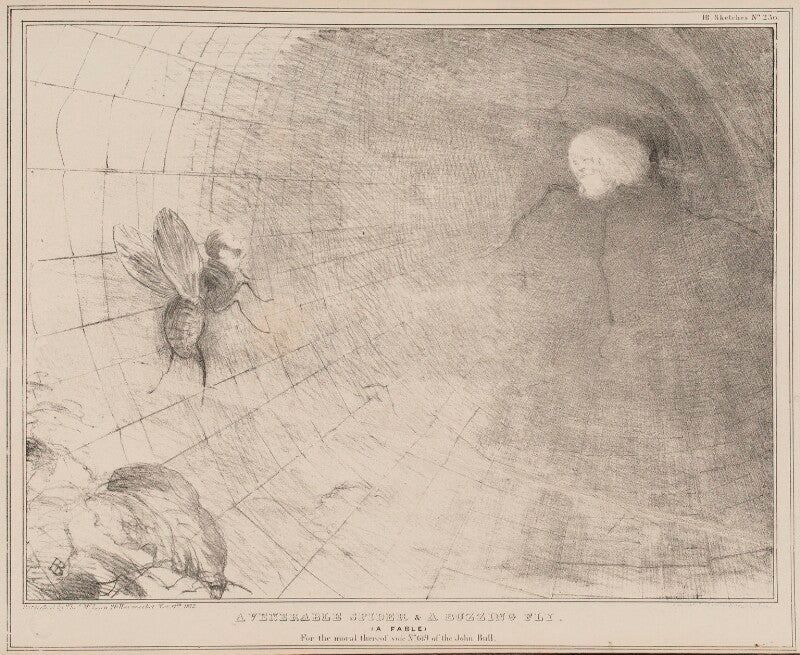 A venerable spider & a buzzing fly npg d41165