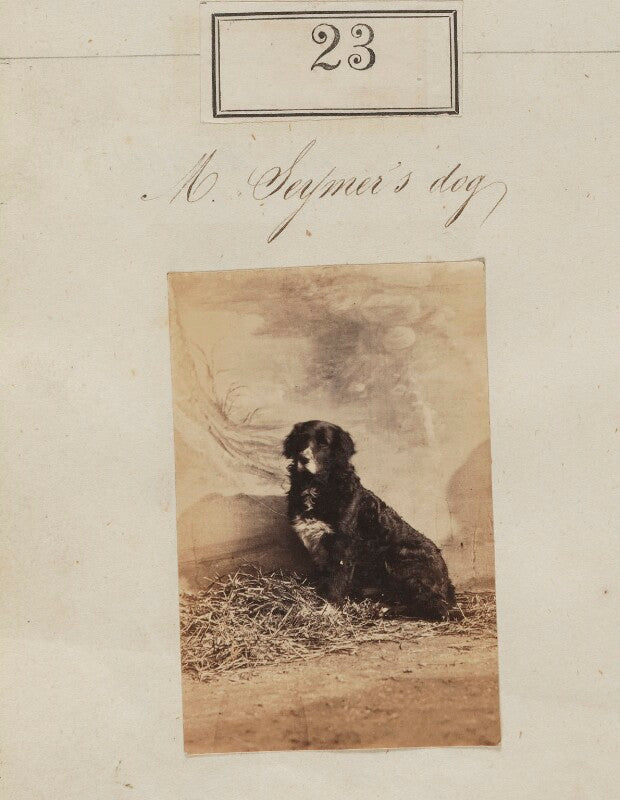 Henry ker seymer's dog npg ax50019