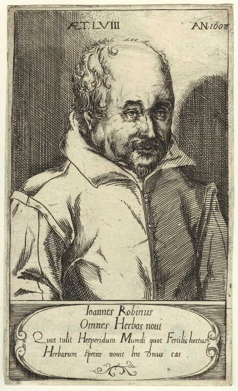 John robin npg d31636