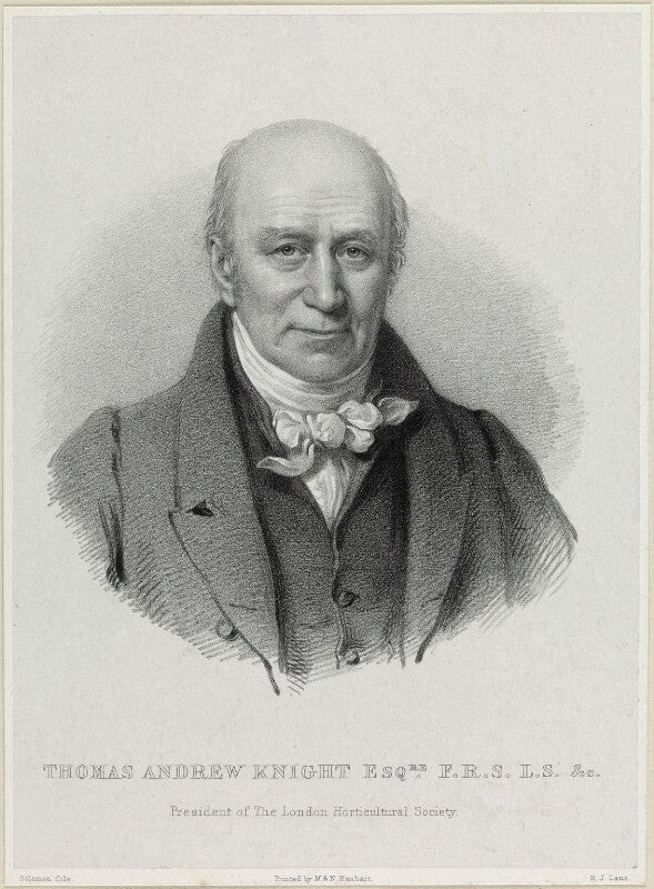 Thomas andrew knight npg d21908