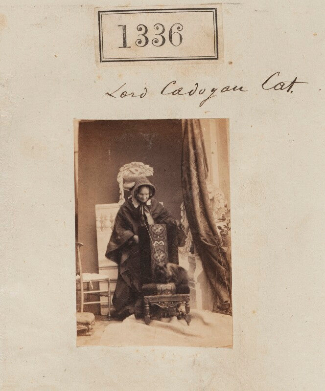 'lord cadogan's cat' (probably honoria louisa (née blake), countess cadogan with her cat) npg ax50736