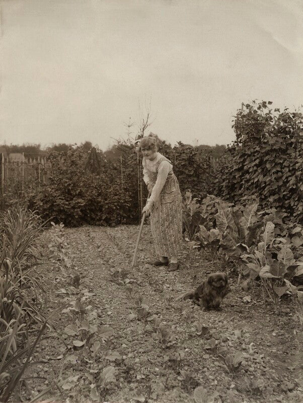 Mary merrall npg x83311