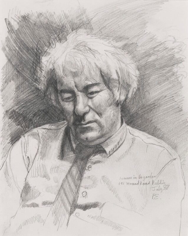 Seamus heaney npg 7003