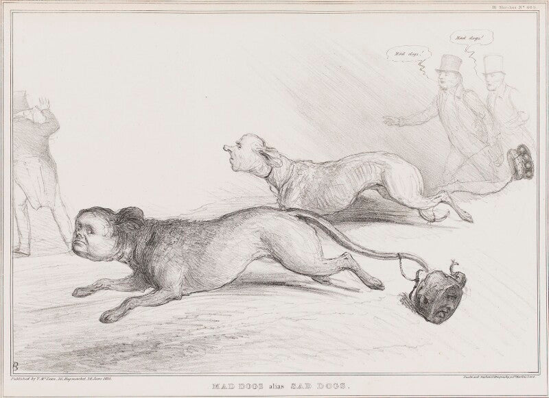 Mad dogs alias sad dogs npg d41334