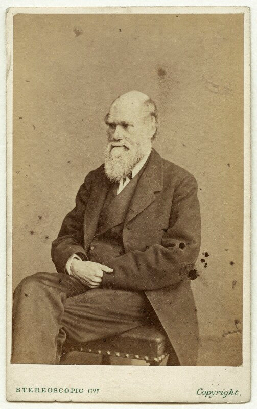 Charles darwin npg x5935