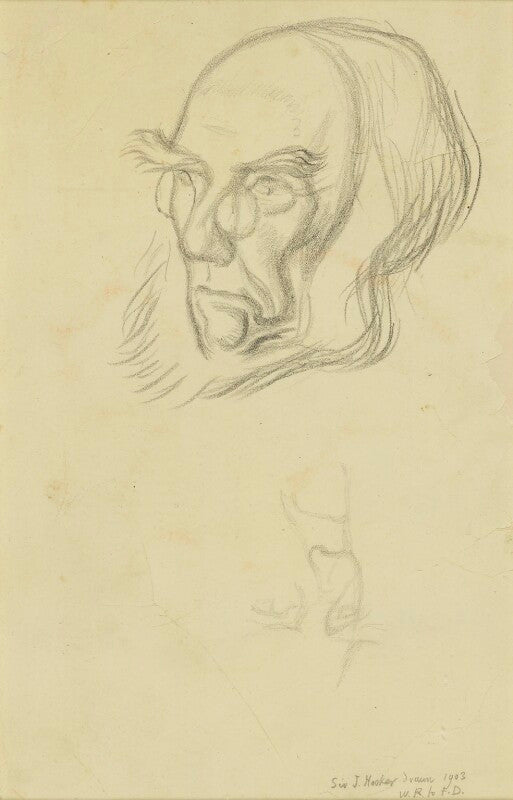 Sir joseph dalton hooker npg 4199