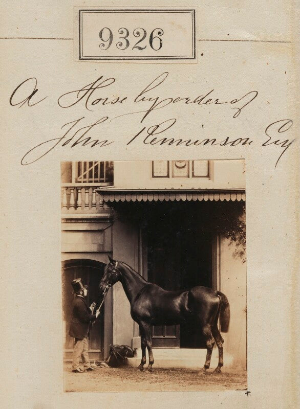 'a horse by order of john renninson' npg ax59138