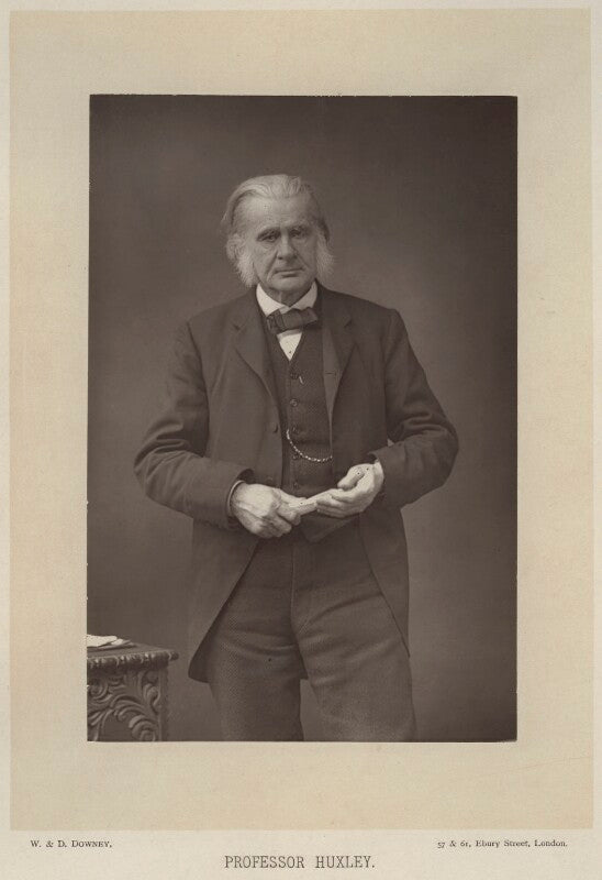 Thomas henry huxley npg x11999