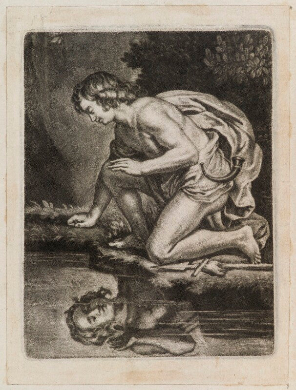 Narcissus npg d11838
