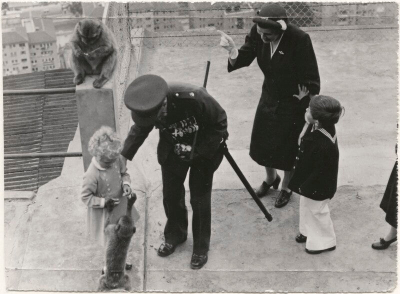 Princess anne; king charles iii npg x183994