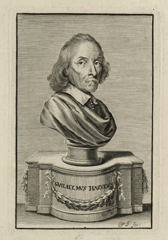 William harvey npg d27265