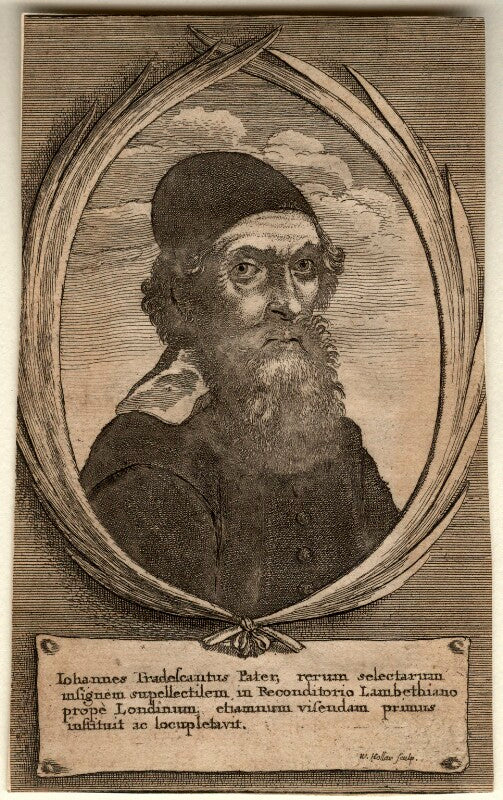 John tradescant the elder npg d10973