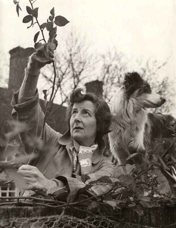 Patricia ward npg x126682