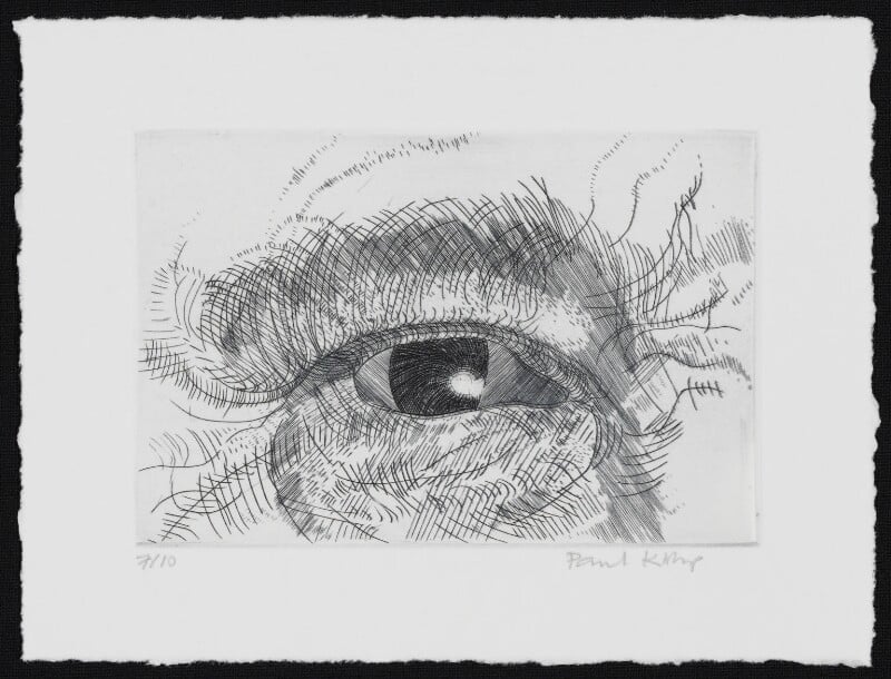 Engraving of an eye npg d49611