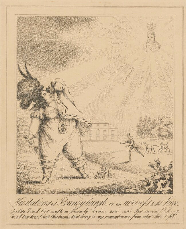 Meditations at brandyburgh; or and address to the sun npg d17915a