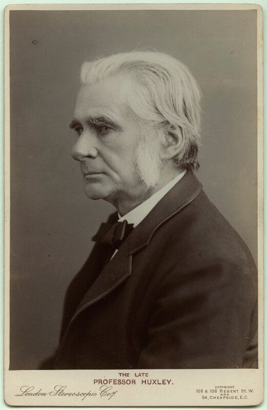 Thomas henry huxley npg x46493