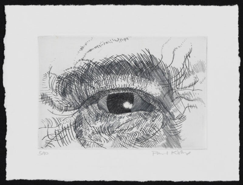 Engraving of an eye npg d49609