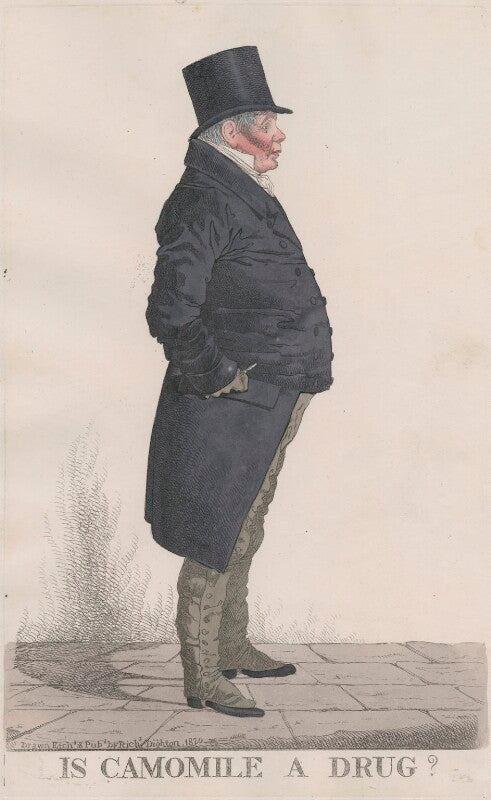 Mr bowden ('is camomile a drug') npg d13371