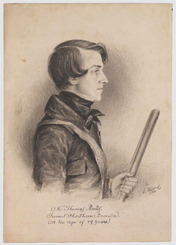 Thomas bates npg d29