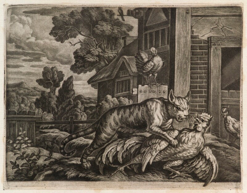 Cat and cock npg d11839