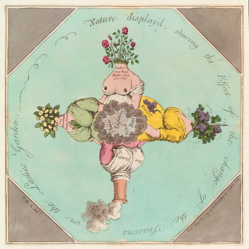 'nature display'd, shewing the effect of the change of the seasons on the ladies garden' npg d13028