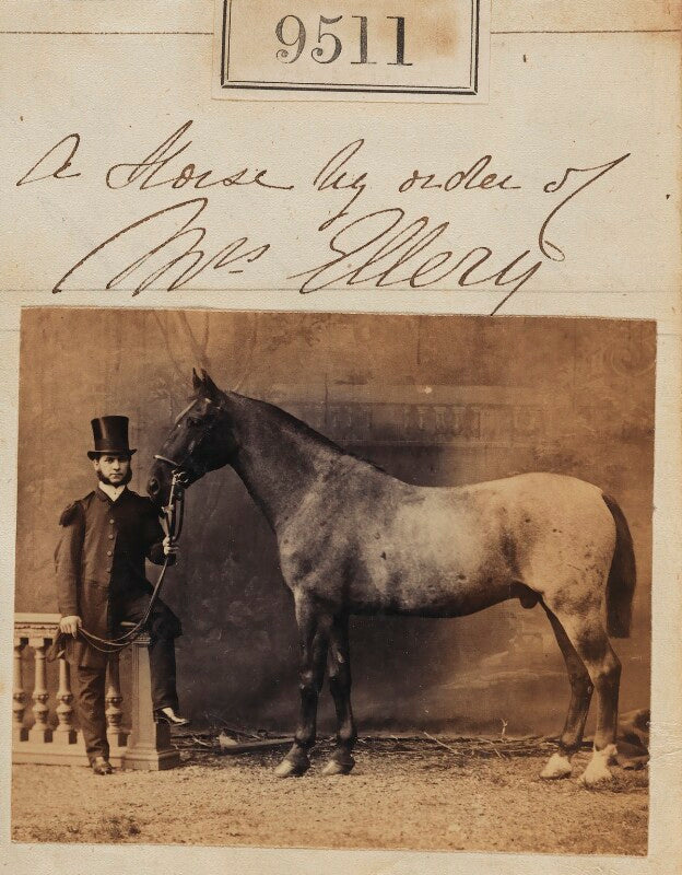 A horse by order of mrs ellery npg ax59319