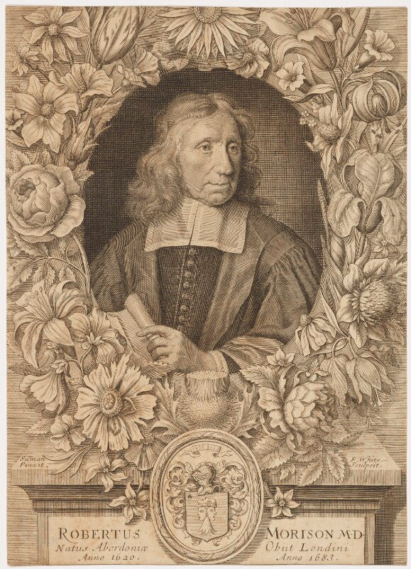 Robert morison npg d42846