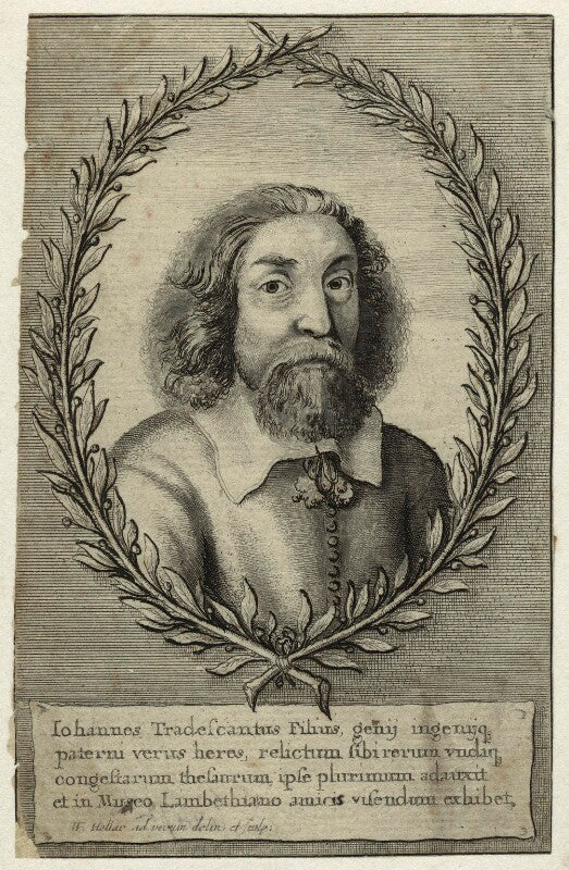 John tradescant the younger npg d31866