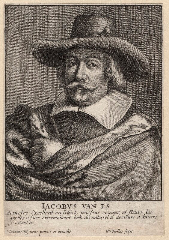 Jacob van es npg d9735