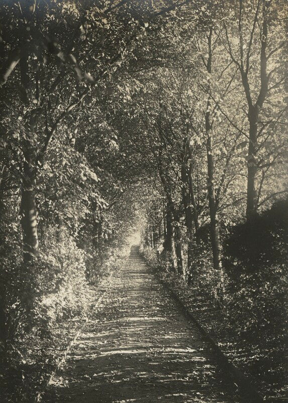 Lime avenue, leckhampton, cambridge npg ax68467