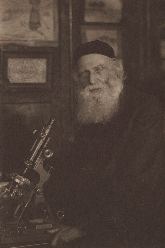 George johnstone stoney npg x26566