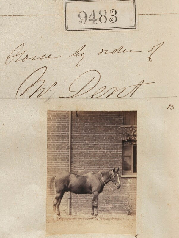 Horse by order of mr dent npg ax59291